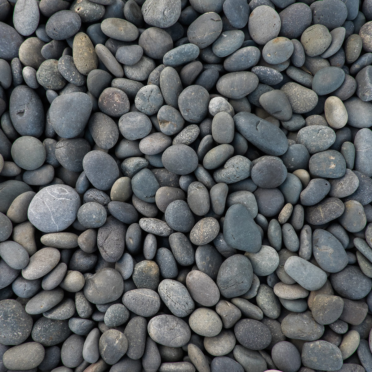 Gray rocks